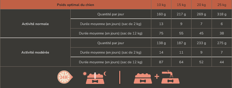 ration-chien-adult-medium-saumon